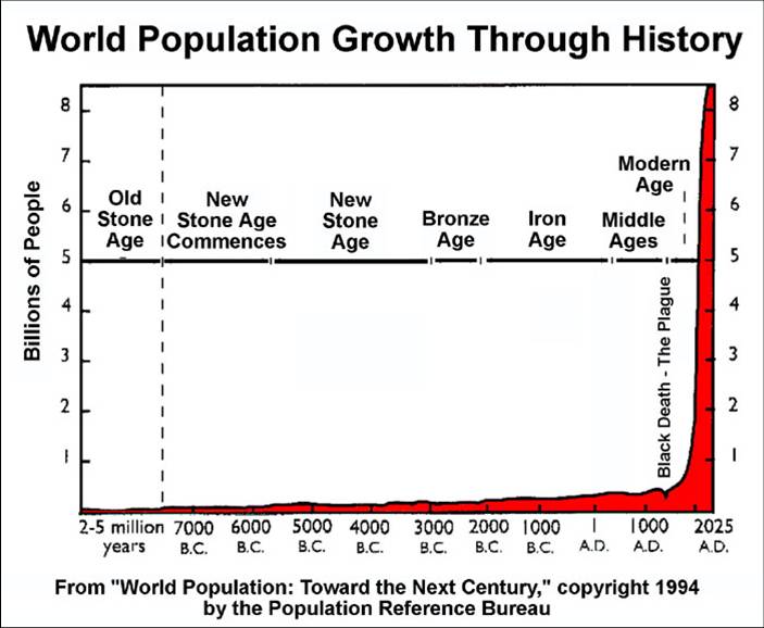 WorldPopulationGraph_yearPre7000BCto2025AD_metalAges_703x578
